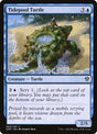 69-tidepoolturtle