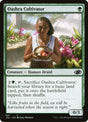 697-oashracultivator