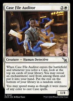 7-casefileauditor