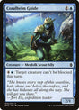74-coralhelmguide