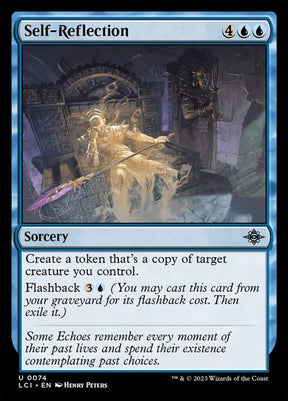 74-selfreflection