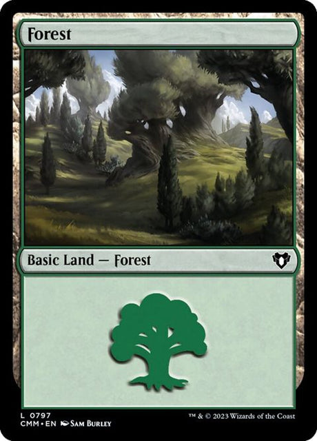 797-forest