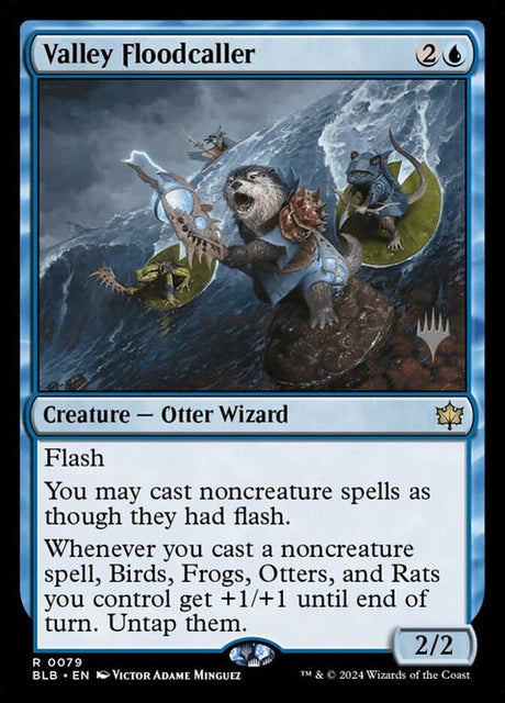 79p-valleyfloodcaller