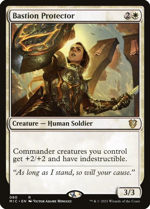 80-bastionprotector