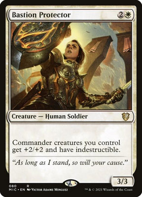 80-bastionprotector