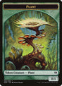 80-plant