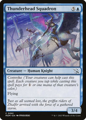81-thunderheadsquadron
