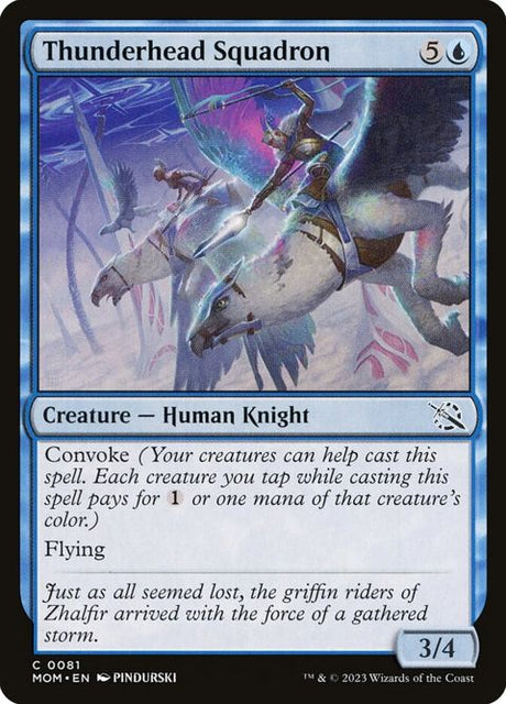 81-thunderheadsquadron