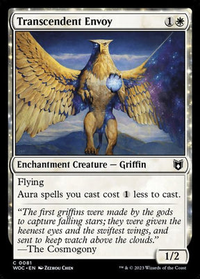 81-transcendentenvoy