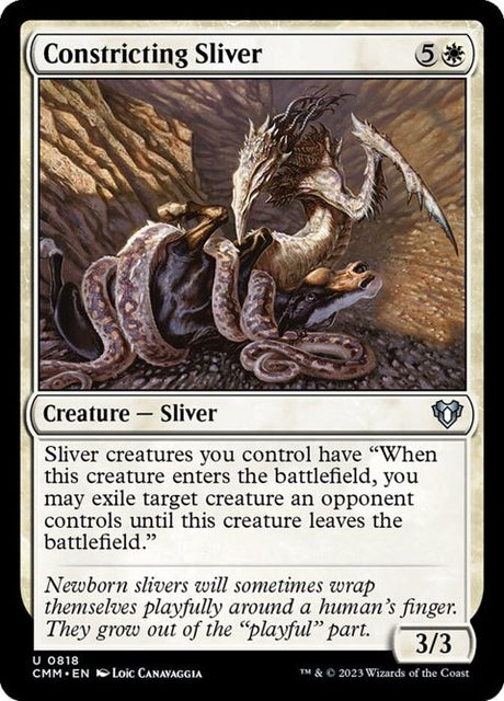 818-constrictingsliver