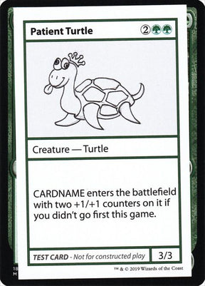 82-patientturtle