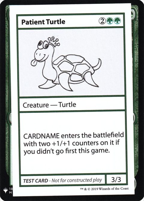 82-patientturtle
