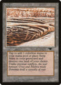 82a-stripmine