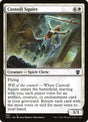 83-custodisquire