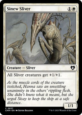 837-sinewsliver