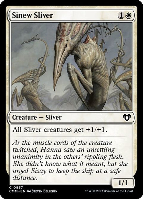 837-sinewsliver