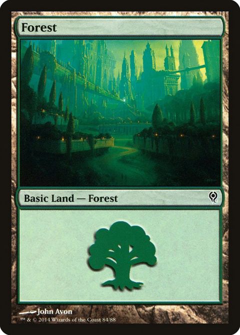 84-forest
