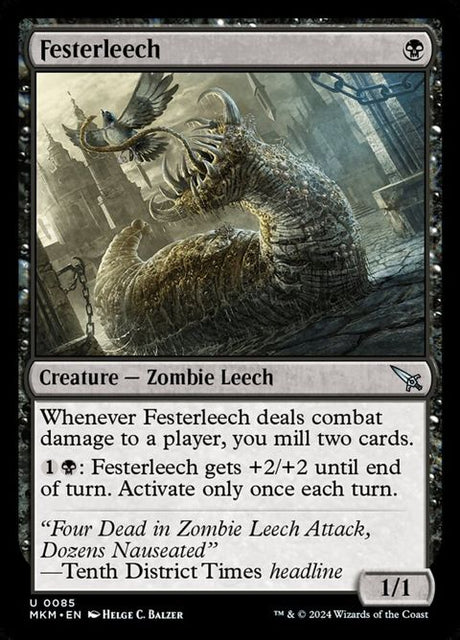 85-festerleech