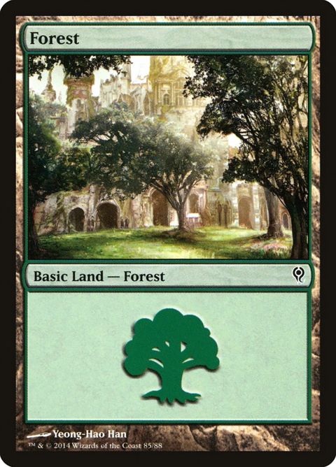 85-forest