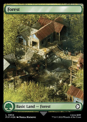854-forest