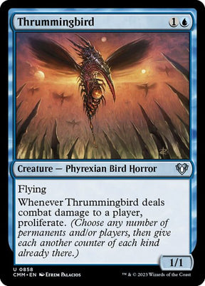 858-thrummingbird