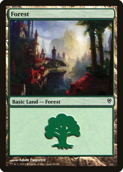 86-forest