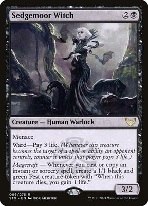 86-sedgemoorwitch