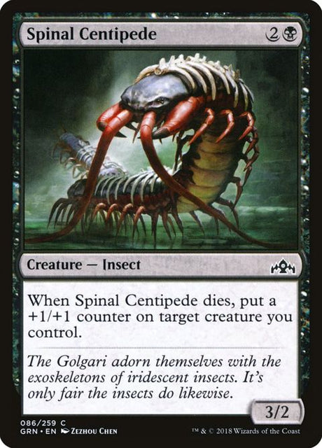 86-spinalcentipede