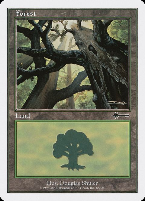 88-forest