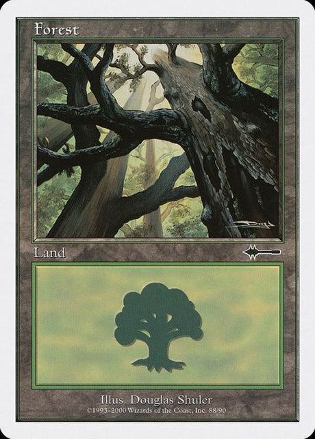 88-forest