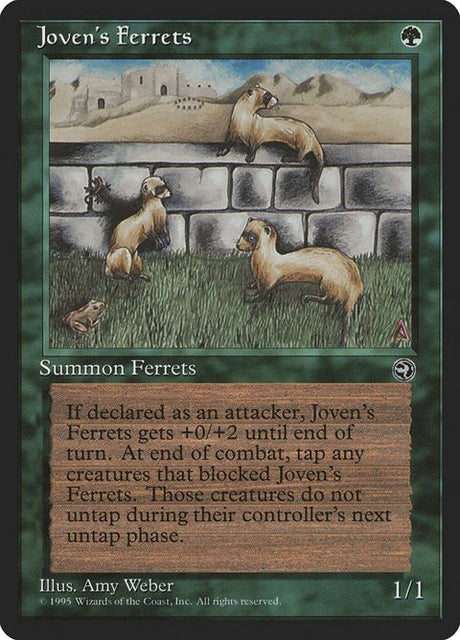 89-jovensferrets