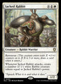 9-jackedrabbit