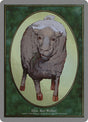 93-sheep