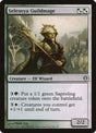 94-selesnyaguildmage