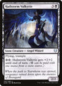 97-hailstormvalkyrie