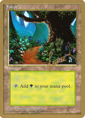 bl376-forest