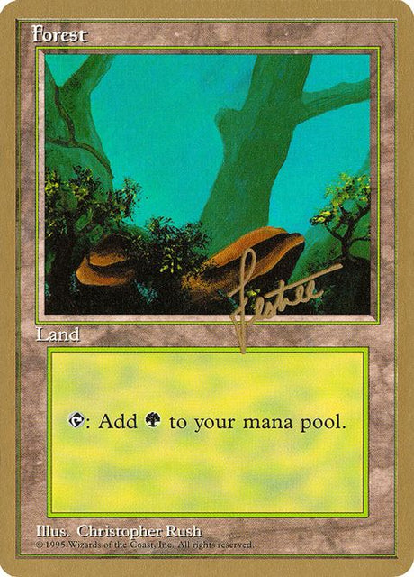 bl378-forest