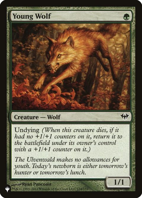 dka-134-youngwolf