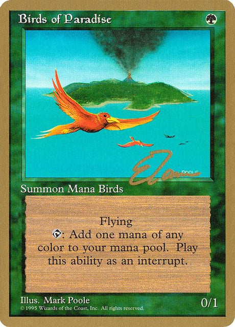 et234-birdsofparadise