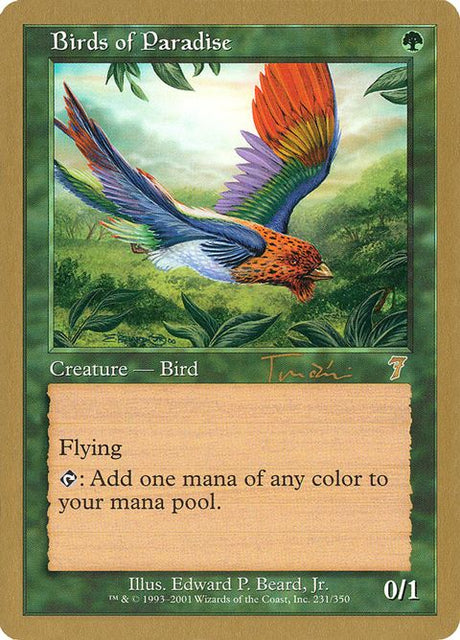 jt231-birdsofparadise