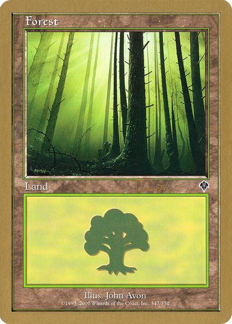 jt347-forest