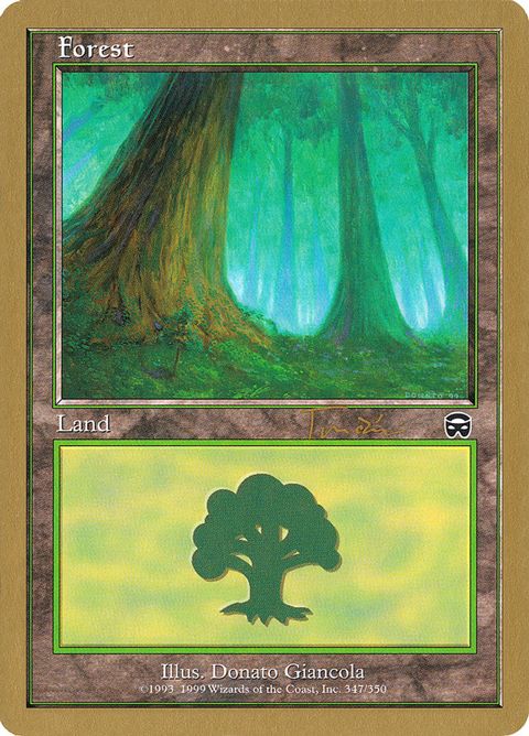 jt347a-forest