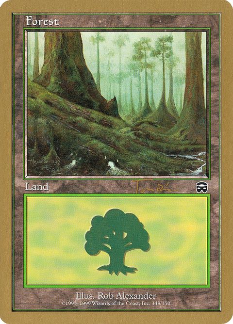 jt348-forest