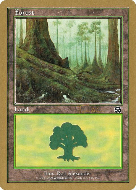 jt348-forest