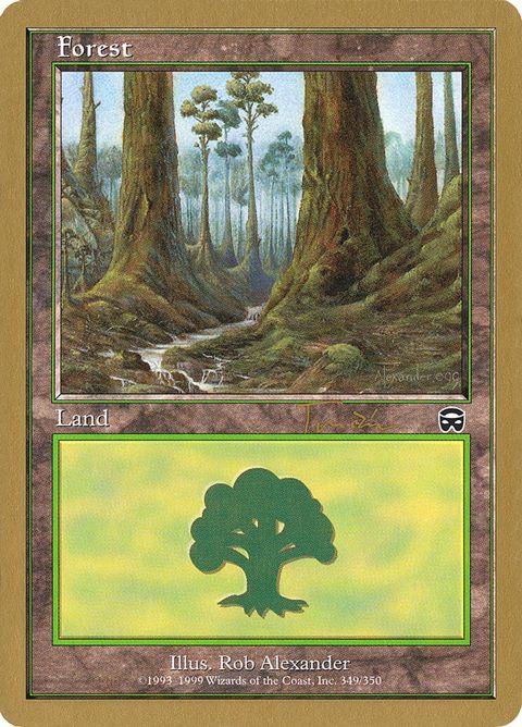 jt349-forest
