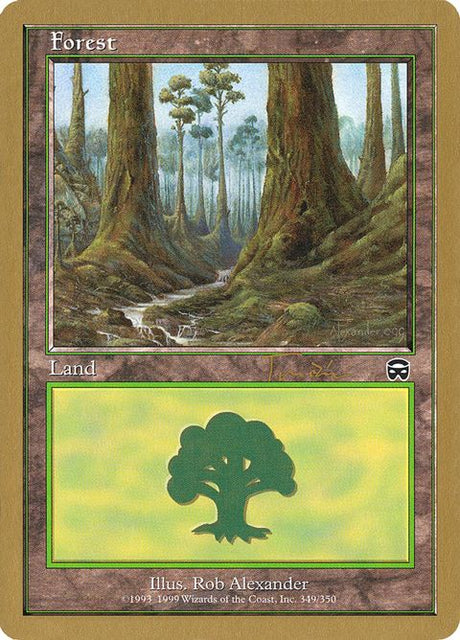 jt349-forest