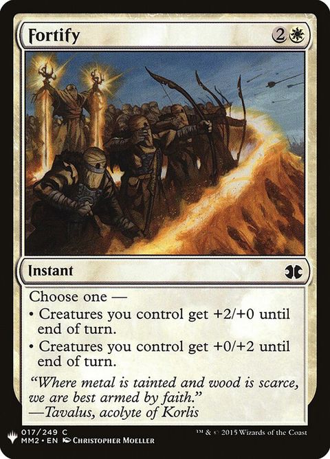 mm2-17-fortify