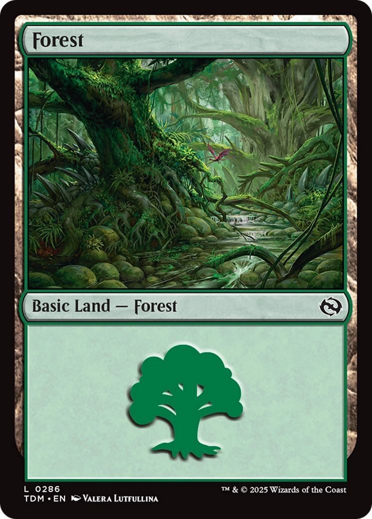 20 Basic Forest